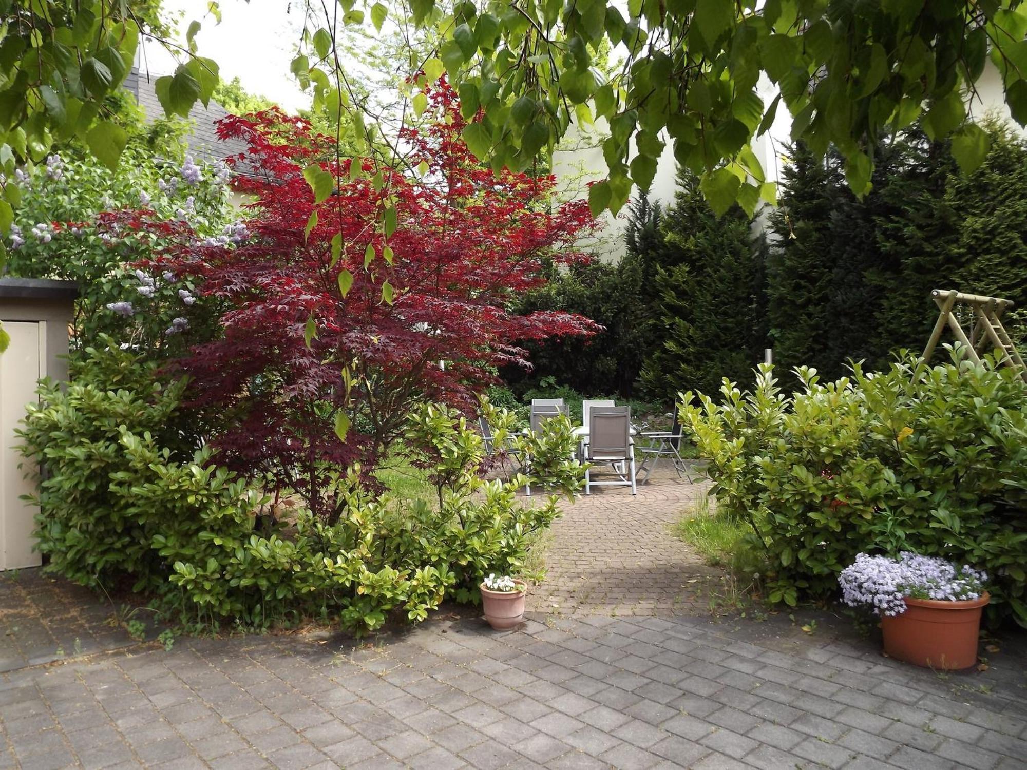 דרזדן Apartments Und Zimmer Gaestehaus Matthias מראה חיצוני תמונה