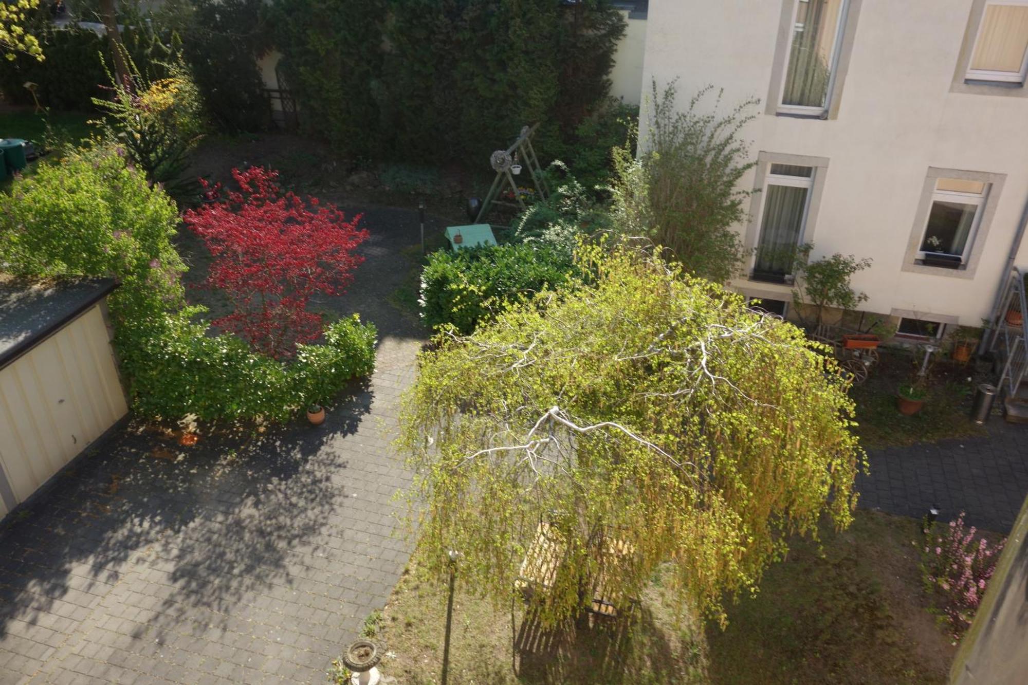 דרזדן Apartments Und Zimmer Gaestehaus Matthias חדר תמונה