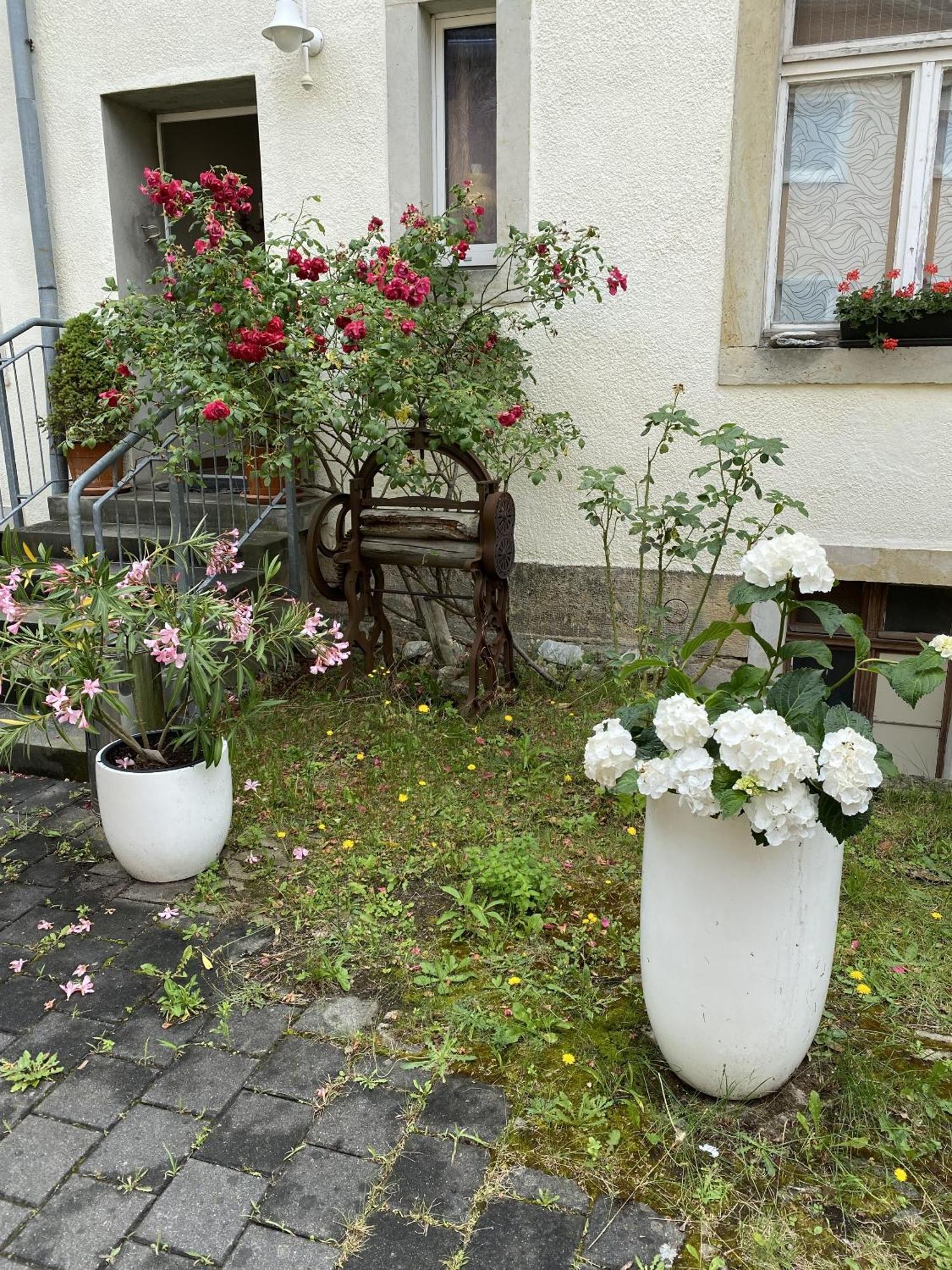 דרזדן Apartments Und Zimmer Gaestehaus Matthias מראה חיצוני תמונה