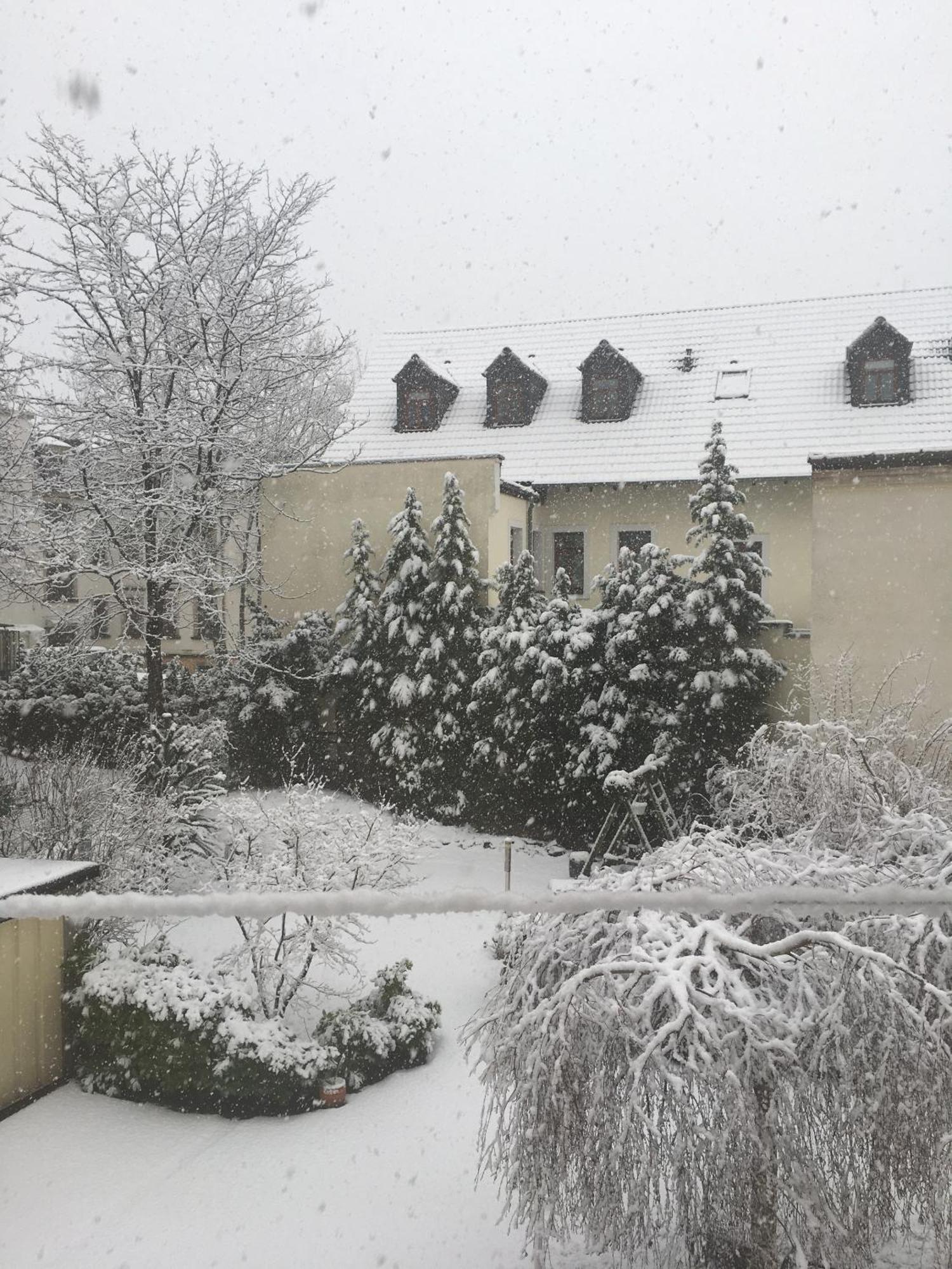 דרזדן Apartments Und Zimmer Gaestehaus Matthias מראה חיצוני תמונה