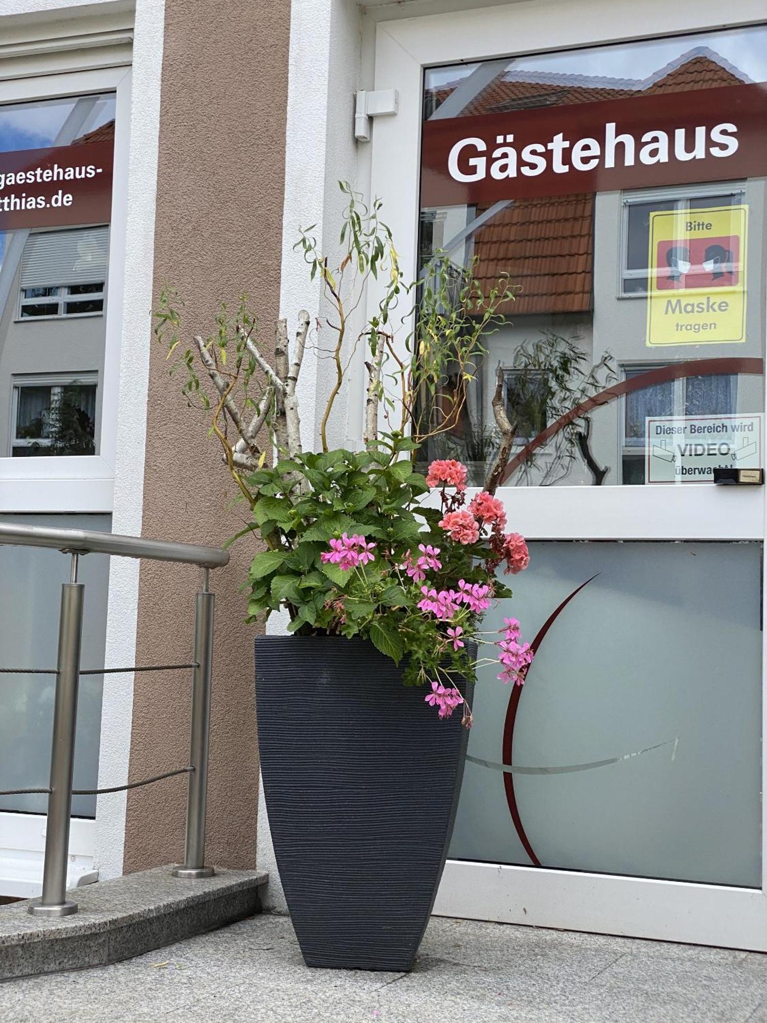 דרזדן Apartments Und Zimmer Gaestehaus Matthias מראה חיצוני תמונה